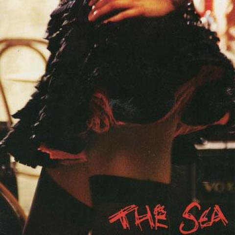 7inch Record SEA - Don't You Want Me (Picture Sleeve)  LUST4VS Lusty Records 2008 UK Rock