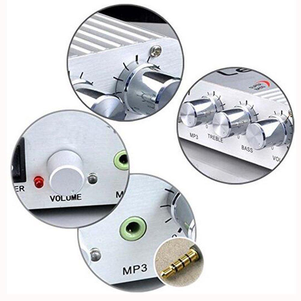 Eaglerich LP-838 Mini Hi-Fi CD MP3 Radio Auto Mașină Motocicletă Audio Casă Stereo Difuzor de Bas Amplificator Subwoofer Booster Player 12V 20W