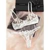 Transparent Floral Two Pieces Exquisite Lace Lingerie Set Ultrathin Bra Briefs Set Solid Exotic Lingerie For Ladies 2024
