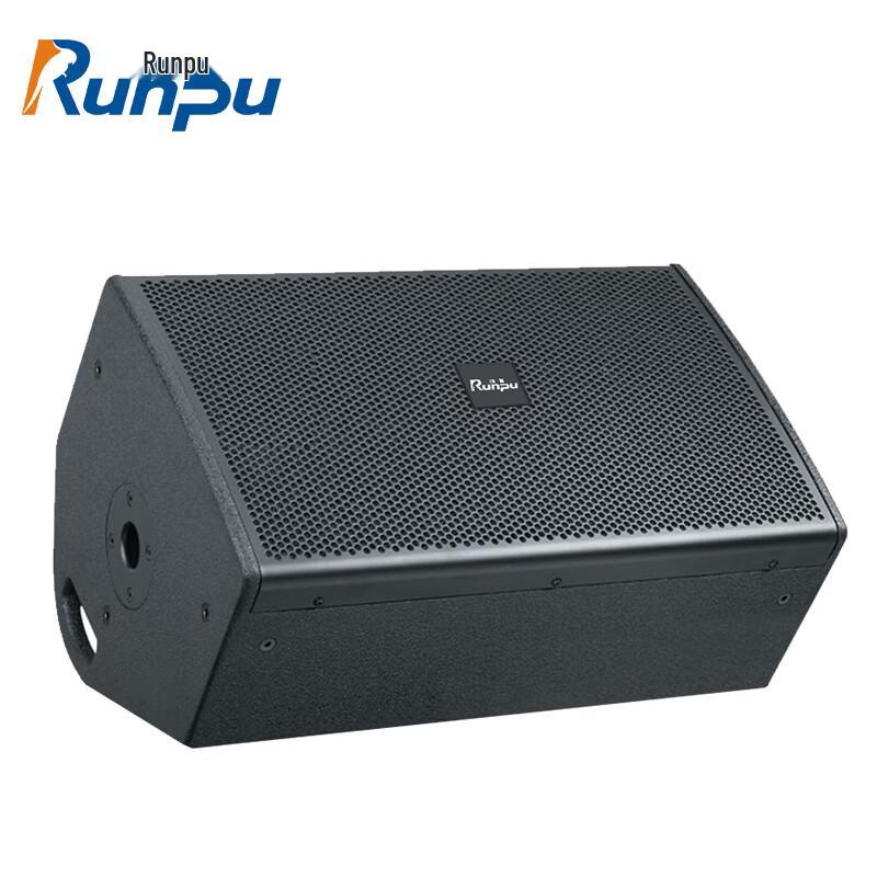 Runpu 12-inch Professional Passive Floor Monitor Speaker CN plug (adapter included)