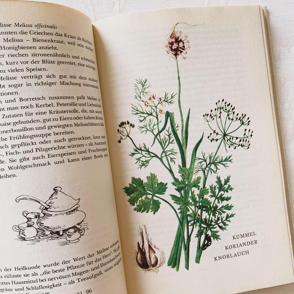 [USED] I'm drawn to the rustic feel of these vintage books on spices and herbs, foreign books, and old botanical books.