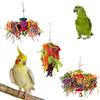 4 Stück Vogel Papagei Glocke Baumwollseil Blöcke Ball Hängender Käfig Dekor Kauspielzeug für Haustiere