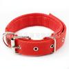 Gewatteerde Hond Stevig Nylon Huisdier AccessoiresBestandige Nekriem voor Dagelijkse Wandelingen, Buiten