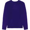Polo Ralph Lauren Solid Color Logo Embroidered Crew Neck Pullover Sweater Men Sweater Purple 710876762-024