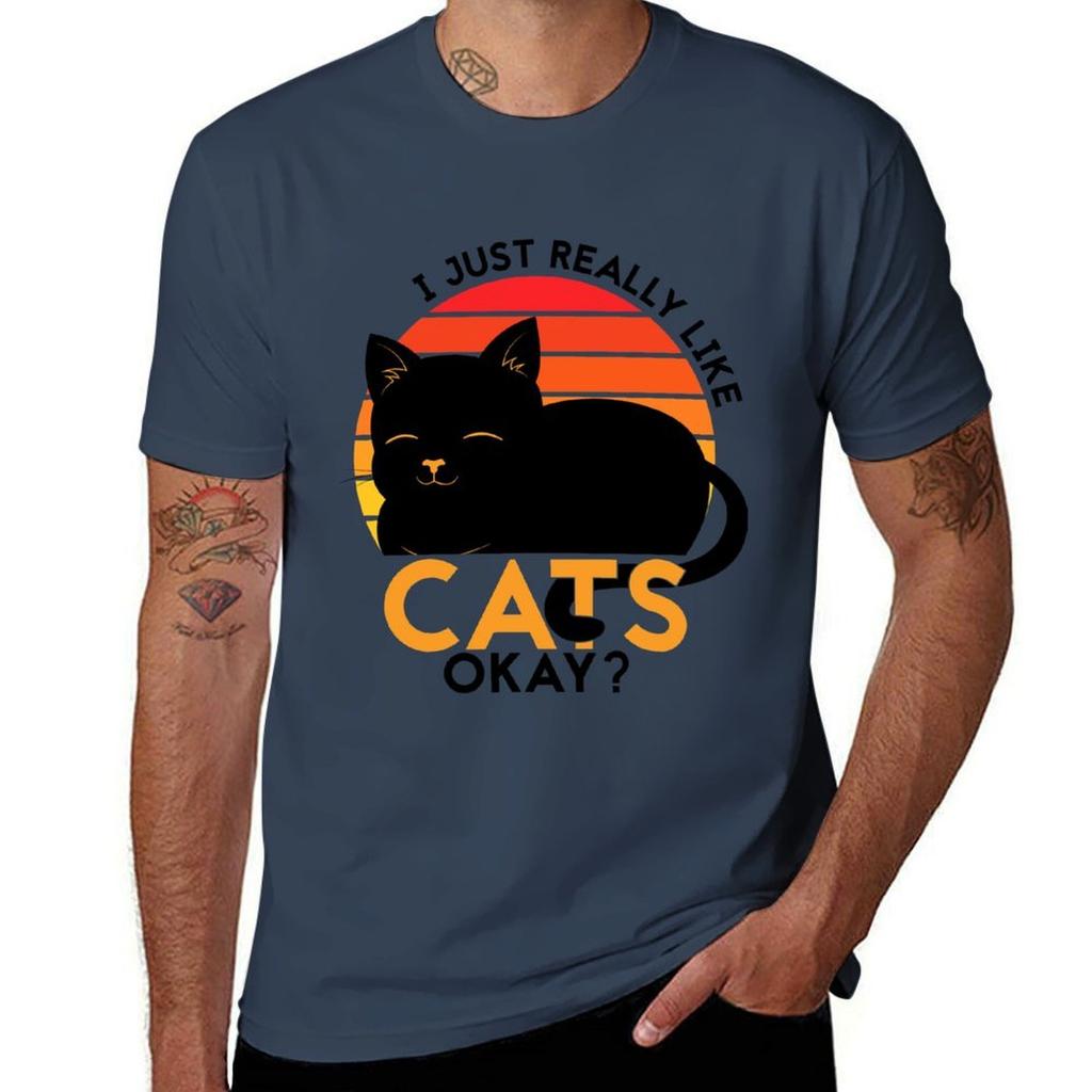 I Just Really Like Cats Okay TShirt Outdoor Sports Lightweight Tee
