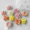 Crystal Resin Plaster Decoration Mold Easy Demold Silicone Mold for Succulent Plant Crystal Gypsum Decorations