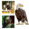 Outdoor Garden Ringing Owl Shape to Deter Birds Hanging Pendant Bird Scarer Gadget with Reflective Strap for Outdoor