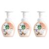 Grapefruit Foam Antibacterial Hand Wash