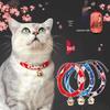 Kedi – Kedi Boyunluk ve Tasmaları