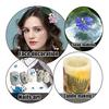 36pcs Dried Flowers Dried Pressed Flowers Leaves Authentic Natural DIY Color Candle Decoration Resin Jewelry Pendant Handicrafts Art Nail Phone Case