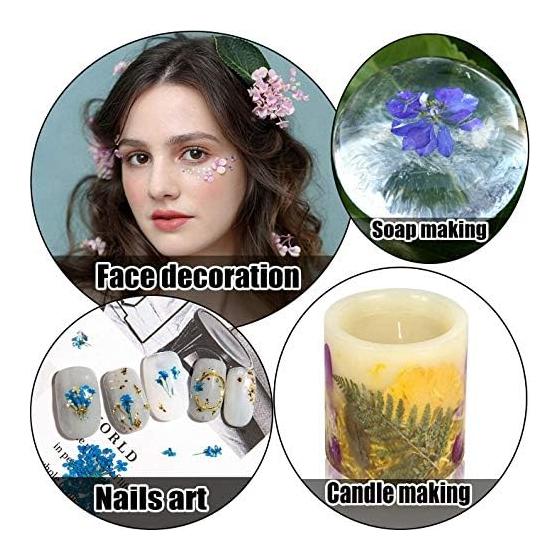 36pcs Dried Flowers Dried Pressed Flowers Leaves Authentic Natural DIY Color Candle Decoration Resin Jewelry Pendant Handicrafts Art Nail Phone Case