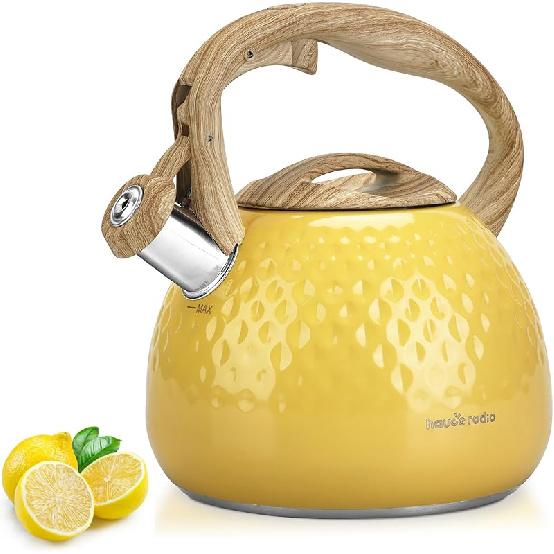 Tea Kettle Stovetop,2.5QT Stainless Steel Whistling Teapot for Stove Top Aesthetic,Portable Water Kettles Camping with Anti-hot Silicone