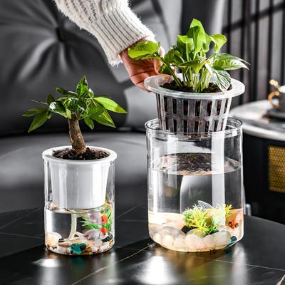 Aquaponic Betta Fish Tank Transparent Plastic Shatterproof Planter Ecosystem Aquarium Desktop Aquaponic System for Betta Fish Houseplants