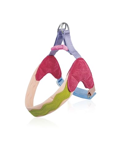 Ham pentru Câine Anti-Tragere cu Căptușeală Moale din Plasă Respirabilă, Design Reglabil Step-In Rezistent la Evadare, Dotat cu Inele D Duble pentru Atașarea Lesei, Nylon Animal de Companie
