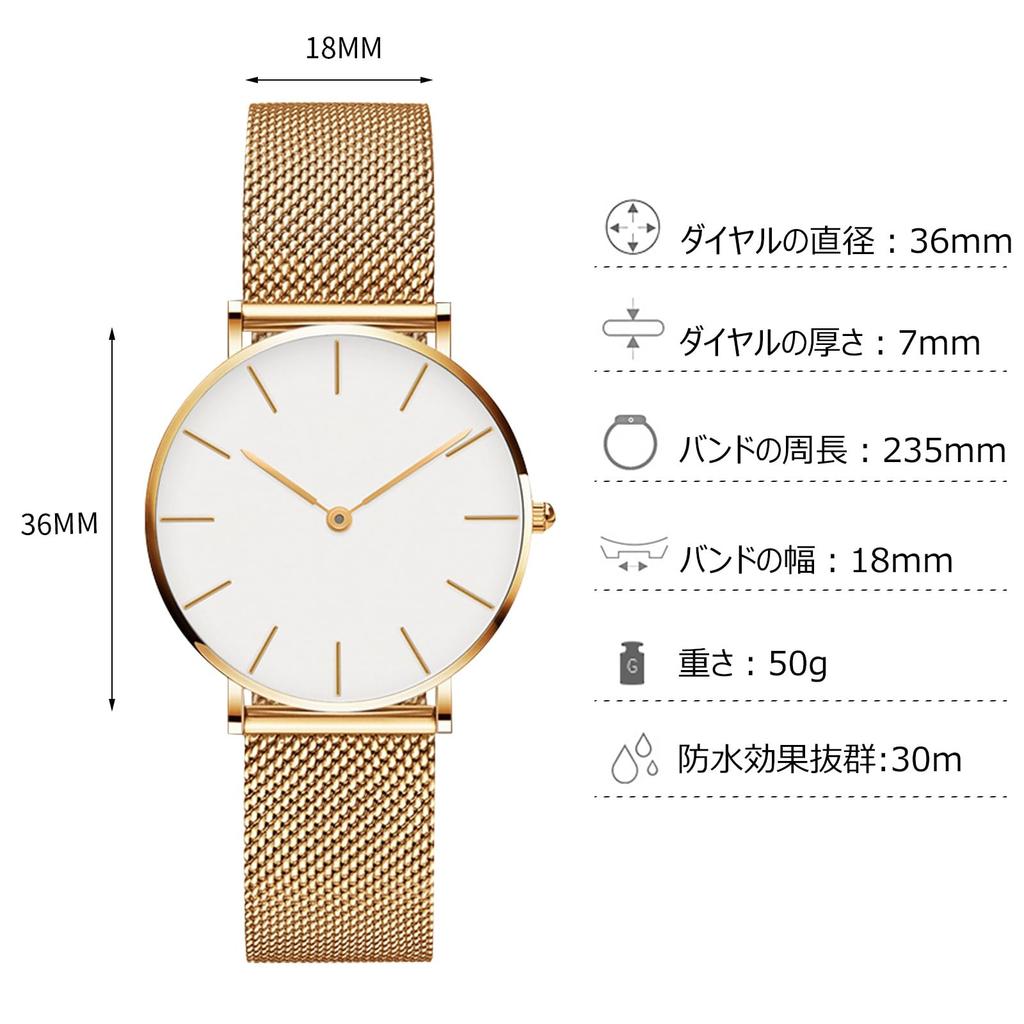 RORIOS Women's Watch Simple Analog Water Resistant Japanese Quartz Mesh Band Stylish Casual Commute School Watch for Women White D