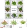 Faux Plastic Pteridium Aquilinum Var Latiusculum Plant Accessories For Gardening Photography And Interior Decoration