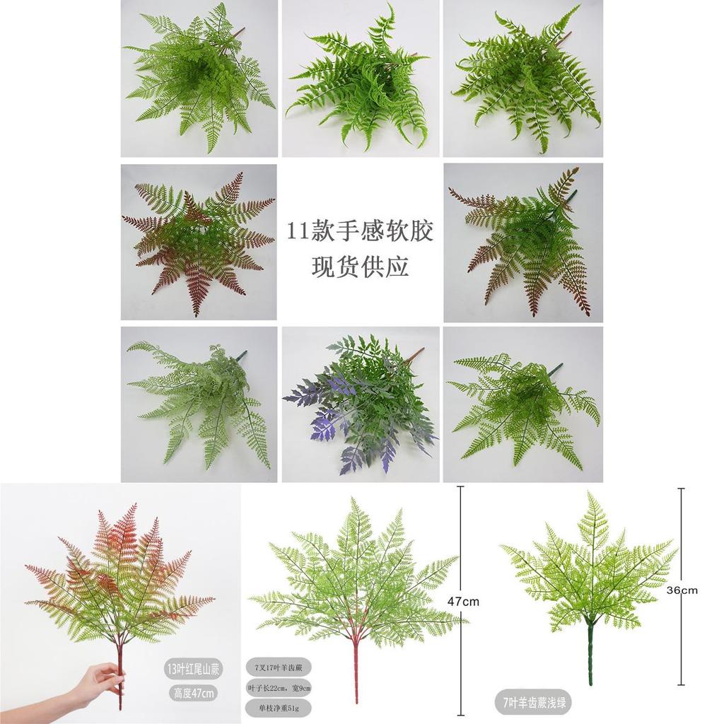 Faux Plastic Pteridium Aquilinum Var Latiusculum Plant Accessories For Gardening Photography And Interior Decoration