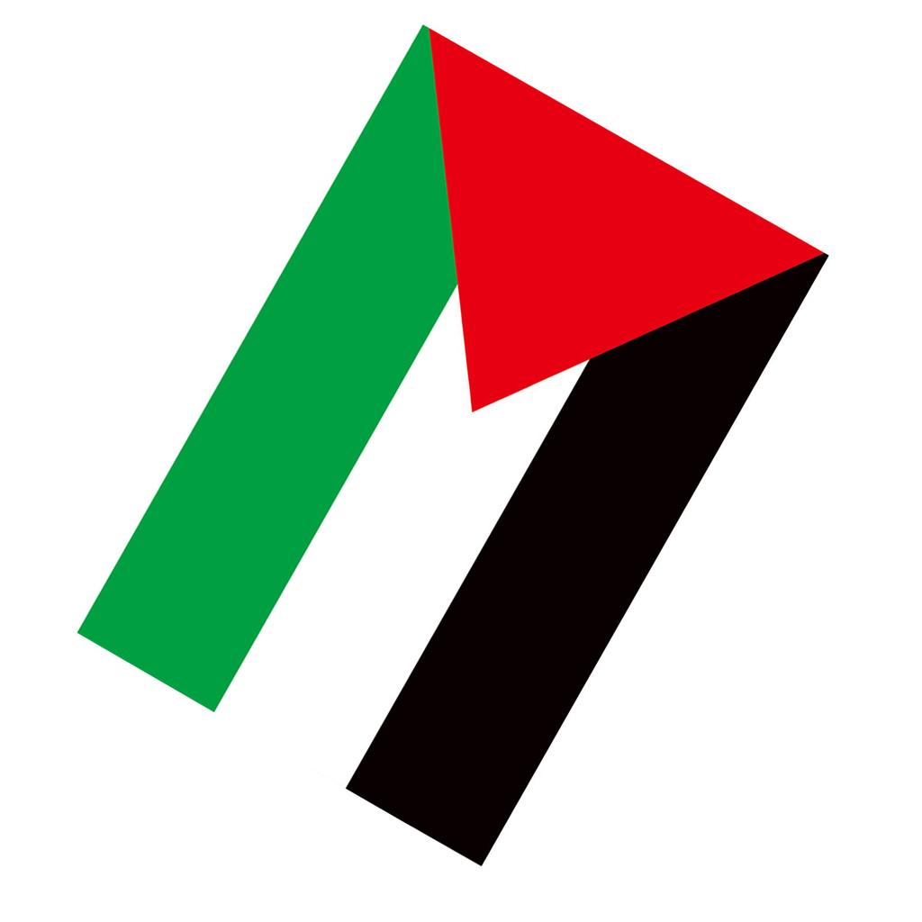 Palestine Flag with 2 Brass Grommets Vivid Color Polyester Double Stitched Colorfast Country Flag for Outdoor Decoration
