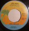 7inch Record JIM CAPALDI  Love Hurts WIP6246 Island Records 1975 UK Rock Used