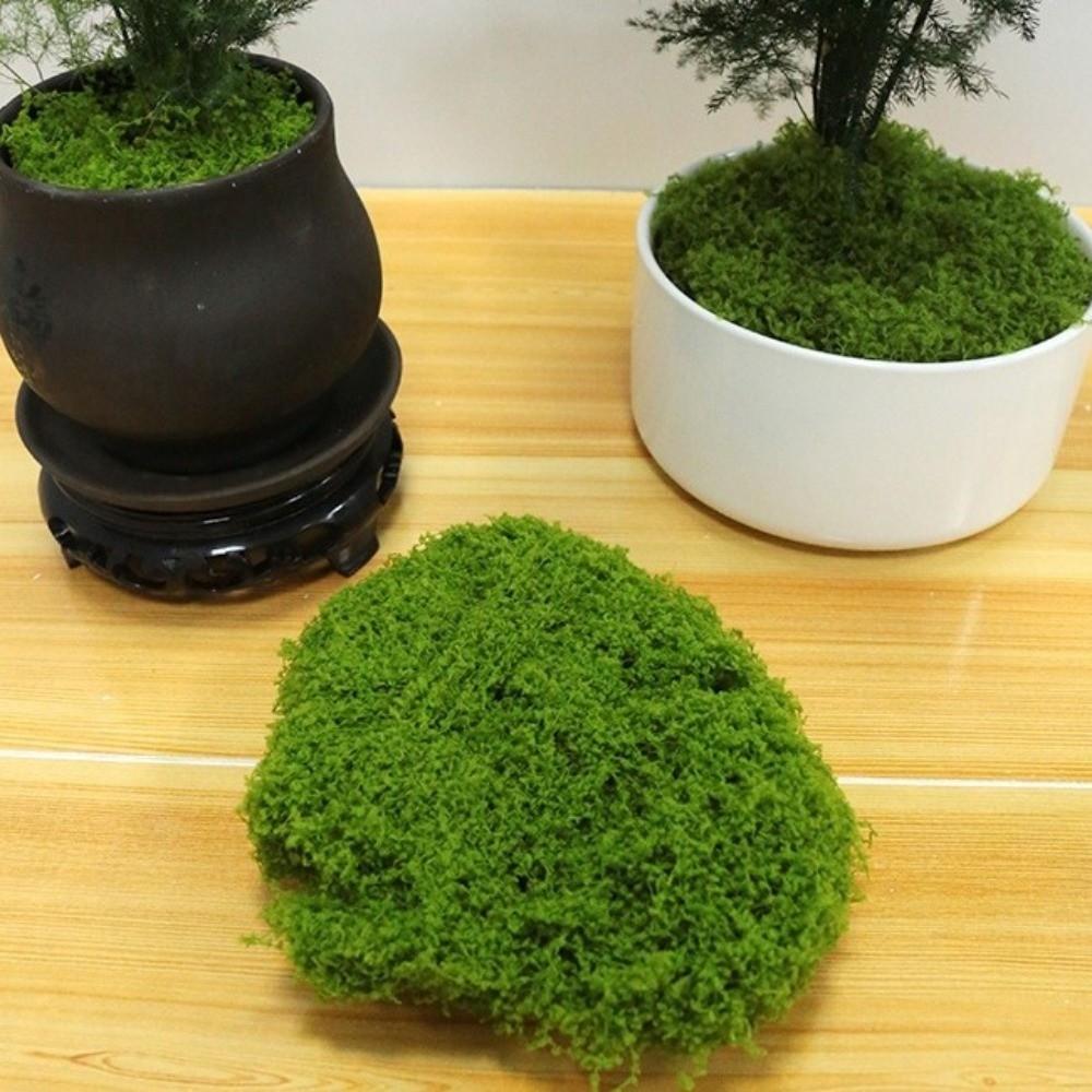 Realistische Textur Künstliche Moospflanzen DIY Basteln Simulation Grünes Moos Bonsai