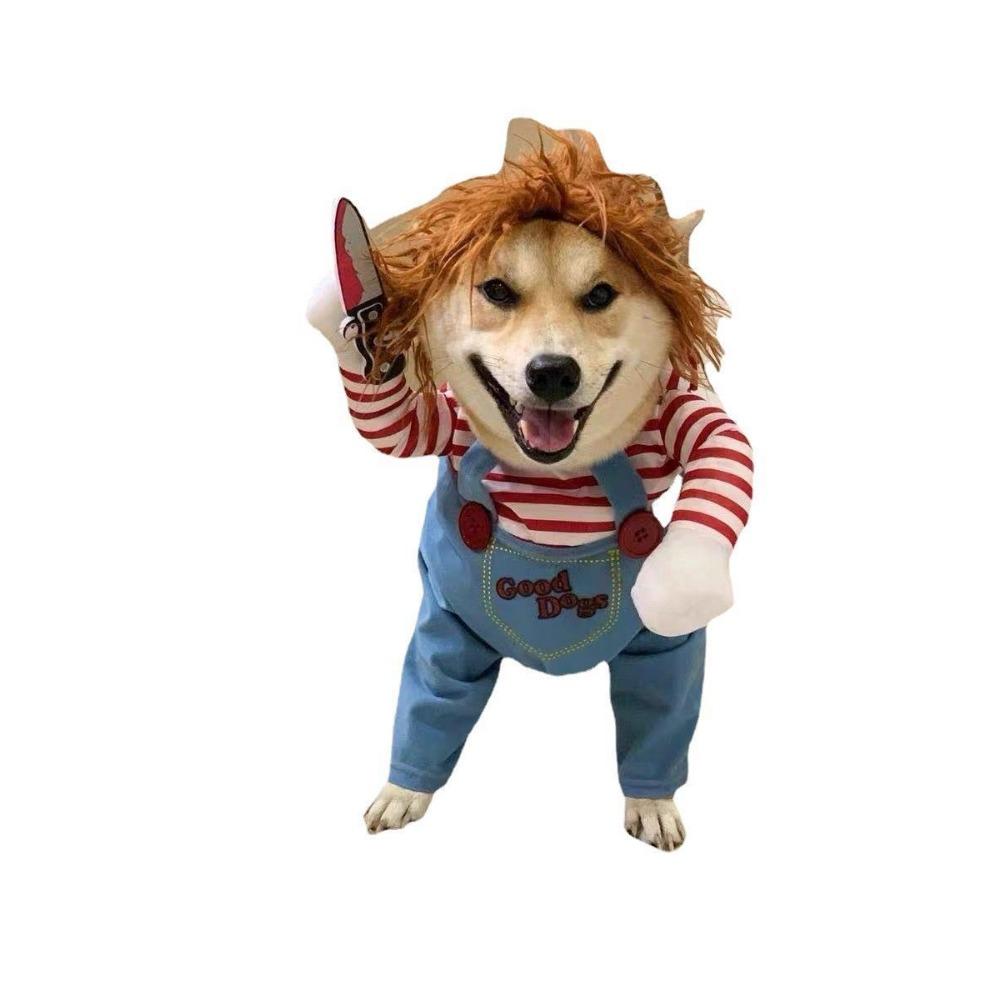 Haustier Hund kreativ lustig Teddy Hund Persönlichkeit lustige Kleidung Verwandlungskleidung Internet-Berühmtheit als Bär Douyin klein