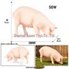 Children's Wildlife Model: Plastic Pig Figurines (Domestic Pig, Large White Pig, Vietnamese Pig, Babirusa, Wild Boar)