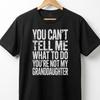 Granddaughter Rules Statement T-Shirt - Funny Sarcastic Family Quote Top