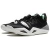Li Ning Fury 2 Cushioning Technology Shock Absorption Non-Slip Wear-Resistant Support Lightweight Rebound Low-Top Basketball Shoes ABFU011-2