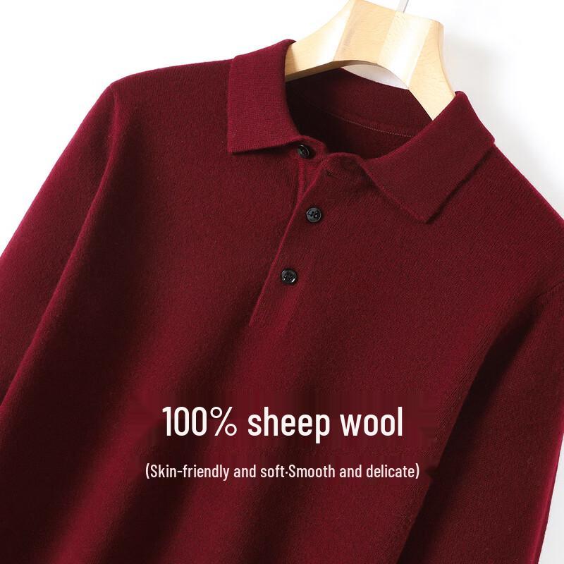 Antonio Men's Merino Wool Polo Sweater