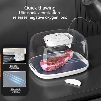 Rechargeable UV Terilization Thaw Box Meat Defroster Machine Large Capacity Kitchen Meat Defrosting Tray Electric Defroster Box