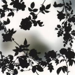 

CD TSUBAKIYA SHIJUSO - Hydrangea / spiral staircase UKDZ0044 Daizawa Records 2005 Japan ObiRock Used