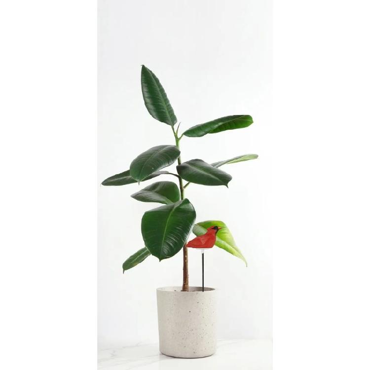 Bonsai Soil Moisture Meter Planter Water Remind Warning Alert Content Garden