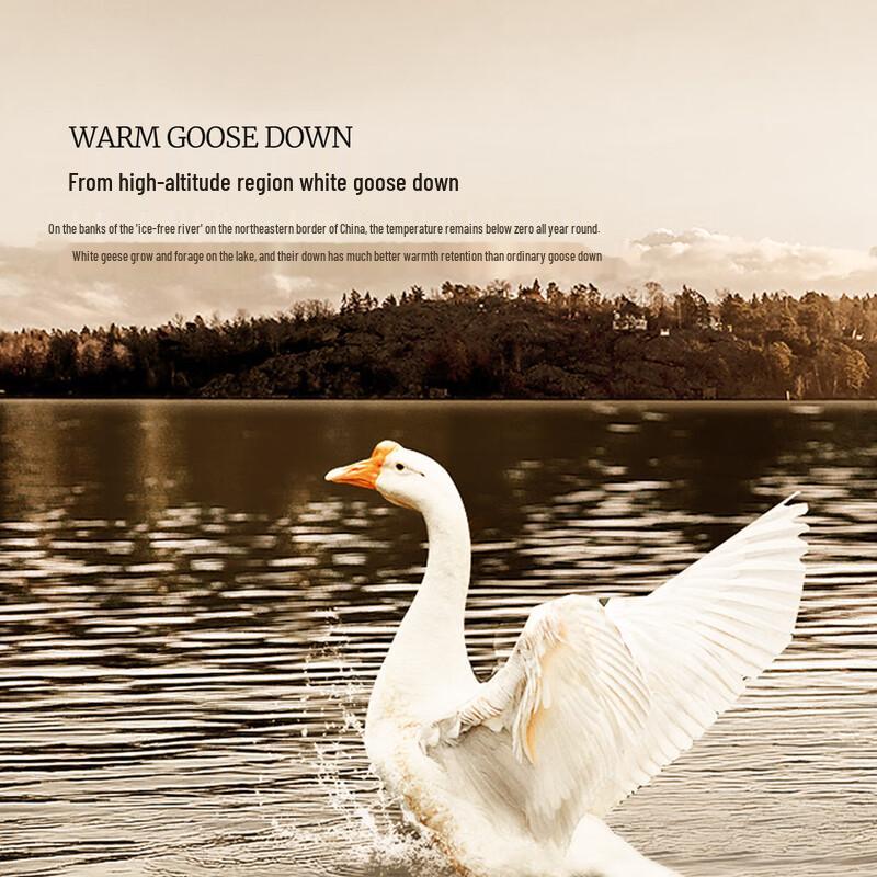 Mercury Home Textiles White Goose Down Winter Comforter