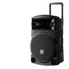 Newmine N521 12-inch Outdoor Karaoke Bluetooth Trolley Speaker