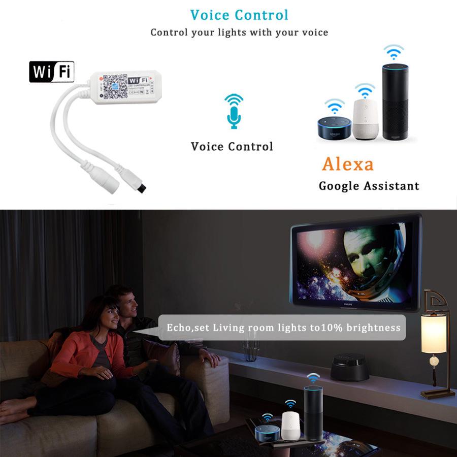 Waterproof 12V LED Light Strip with Alexa Voice Control and 24-Key Remote