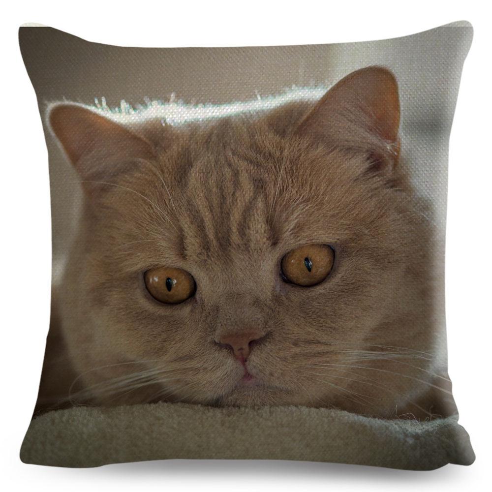 Housse de coussin British Shorthair bleu russe, taie d'oreiller en Polyester, décoration de chat mignon, Animal de compagnie, pour canapé, maison, voiture