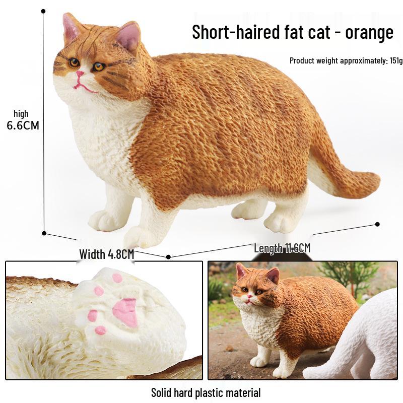 Realistic Exotic Orange Tabby Cat Heart Model Ornament