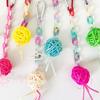 5 Pieces Interactive Ball Parrots Swing For Cage Enrichment Durable Swing Exercise Accessory
