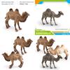 Realistic Animal Pvc Model Camel Decoration For Kids Educational Display And Gifts
