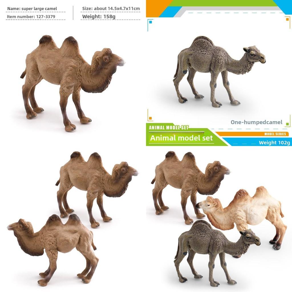 Realistic Animal Pvc Model Camel Decoration For Kids Educational Display And Gifts