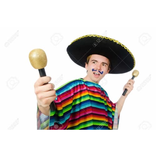 TradeWind Maracas, Latin Percussion, Wooden Shakers, Egg-Shaped, Set of 2 (Palm Tree Design), Perfect for Eurhythmics, Brass Bands, Karaoke, and Parti