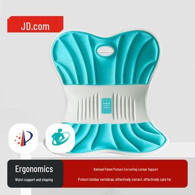 Ergonomic Posture Correction Lumbar Support Cushion