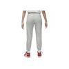 Jordan Brooklyn Classic Air  Logo Print Fleece Cuffed Pants Women Pants Light-Gray DQ4479-063