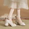 White High Heels Thick Heel Single Shoes Women's 2025 New Versatile Cheongsam Bridesmaid Shoes Daily Wear Mary Jane Shoes