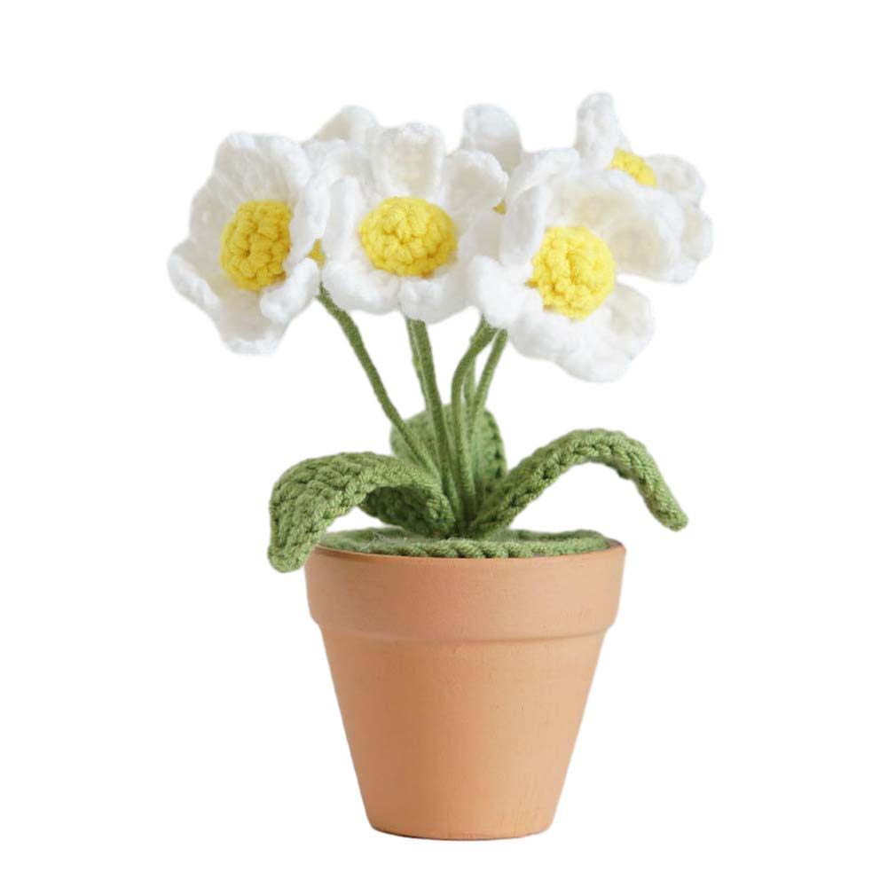 Decoration Potted Plant Fashionable Hand-woven Wool