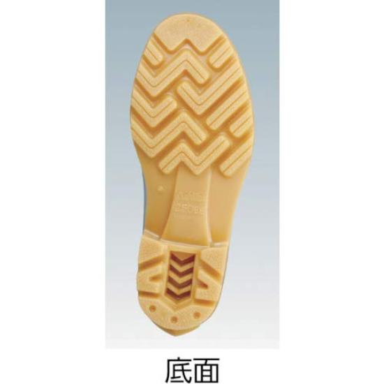 Boots TSW 2100 Cm [Achilles] W/CP 26.0 26.0