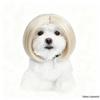 Parrucche Chic per Animali Domestici: Frange alla moda e caschetti carini per cani