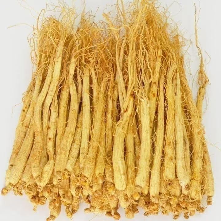 

JINQI Чанбайшаньский корейский женьшень 100 г Женьшень, Женьшень,