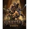 Jeu d'action en coopération - GAUNTLET - PC - Action - Français