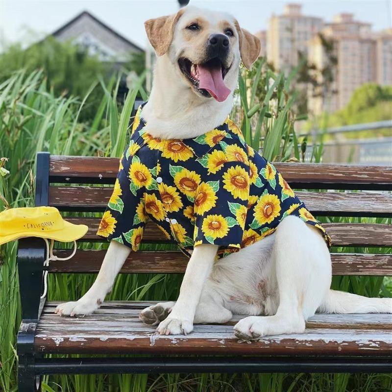 Pet sunflower shirt summer thin trendy clothes sunscreen clothes large dog golden retriever samo labrador